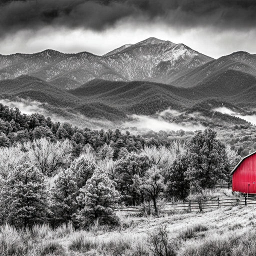 Red Barn in Monochrome Vista Canvas Print