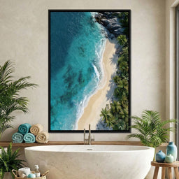 Tropical Cove Aerial Shoreline