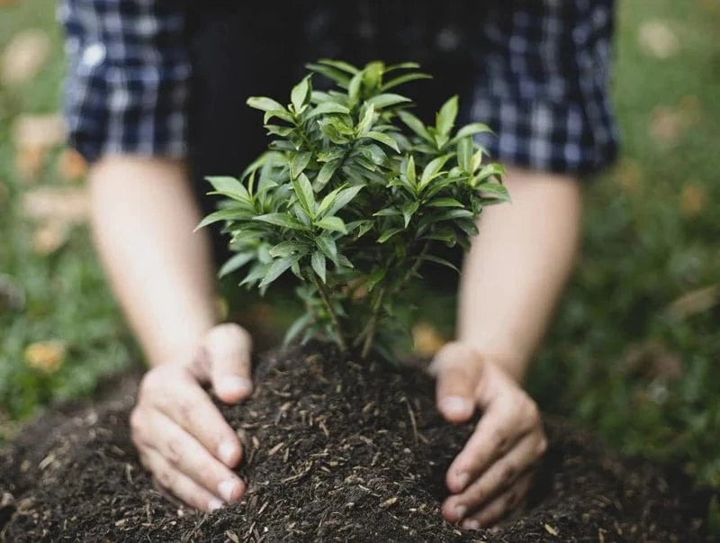 Art That Care For The Future