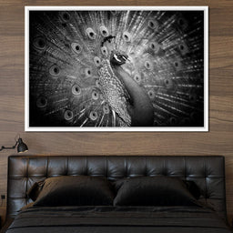 Black and White Peacock - NicheCanvas