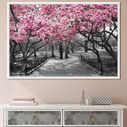 Pink Blossoms in Black and White - NicheCanvas