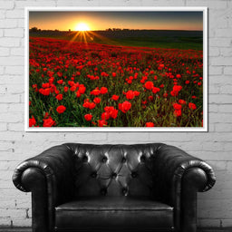 Red Poppies Field - NicheCanvas