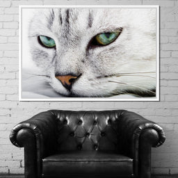 Cat Relaxing - NicheCanvas