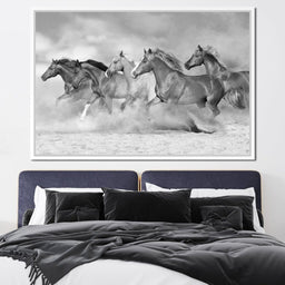 Black & White Horses Heard - NicheCanvas