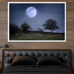 Beautiful Moonlight - NicheCanvas