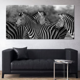 Zebra Herd in Black & White - NicheCanvas