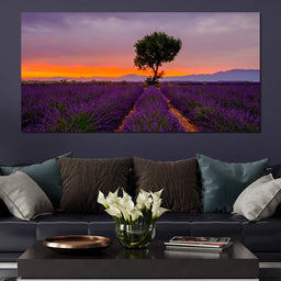 Provence Sunset - NicheCanvas