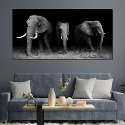 Black and White Elephants - NicheCanvas