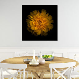 Orange Background Flowers - Brian Carson - NicheCanvas