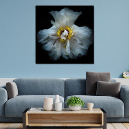 Backyard Flowers Series 4 - Brian Carson - NicheCanvas