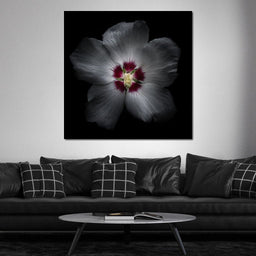 Backyard Flowers Color Version - Brian Carson - NicheCanvas