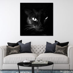 Black and White Cat - NicheCanvas