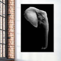 Black and White Elephant Head - NicheCanvas