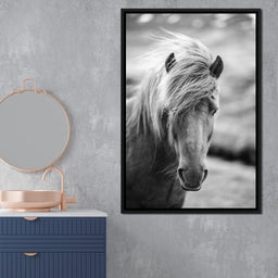 Icelandic Horse - NicheCanvas