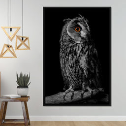 Black & White Owl - NicheCanvas
