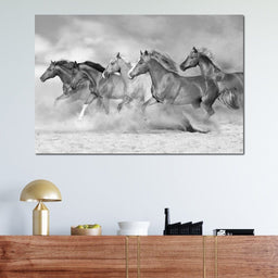 Black & White Horses Heard - NicheCanvas