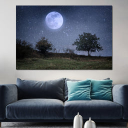 Beautiful Moonlight - NicheCanvas
