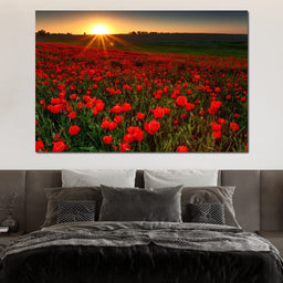 Red Poppies Field - NicheCanvas