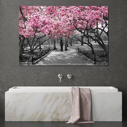 Pink Blossoms in Black and White - NicheCanvas