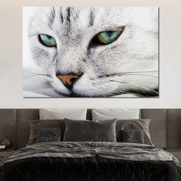 Cat Relaxing - NicheCanvas