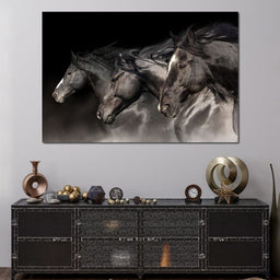 Three Black Stallions - NicheCanvas