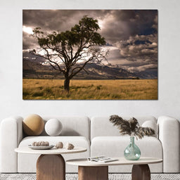 Stormy Afternoon - NicheCanvas