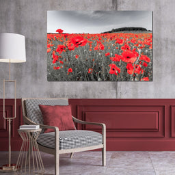 Flanders Fields - NicheCanvas