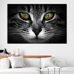 Green Eyed Cat - NicheCanvas