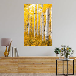 Yellow Forest - Colorado - Lucas Moore - NicheCanvas