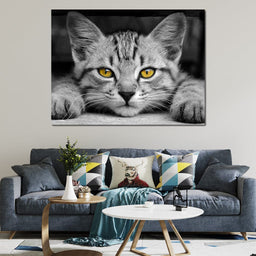 Black & White Cat with Yellow Eyes - NicheCanvas