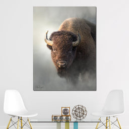 Bison 1 - Patsy Weingart - NicheCanvas