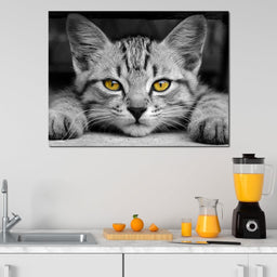 Black & White Cat with Yellow Eyes - NicheCanvas