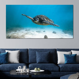 Blue Turtle - Lucas Moore - NicheCanvas