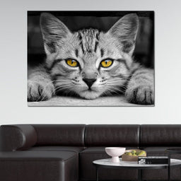 Black & White Cat with Yellow Eyes - NicheCanvas
