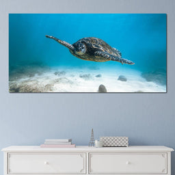 Blue Turtle - Lucas Moore - NicheCanvas