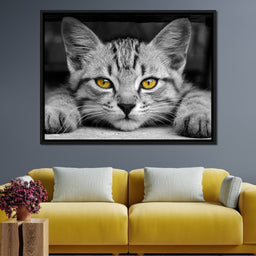 Black & White Cat with Yellow Eyes - NicheCanvas