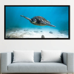 Blue Turtle - Lucas Moore | NicheCanvas