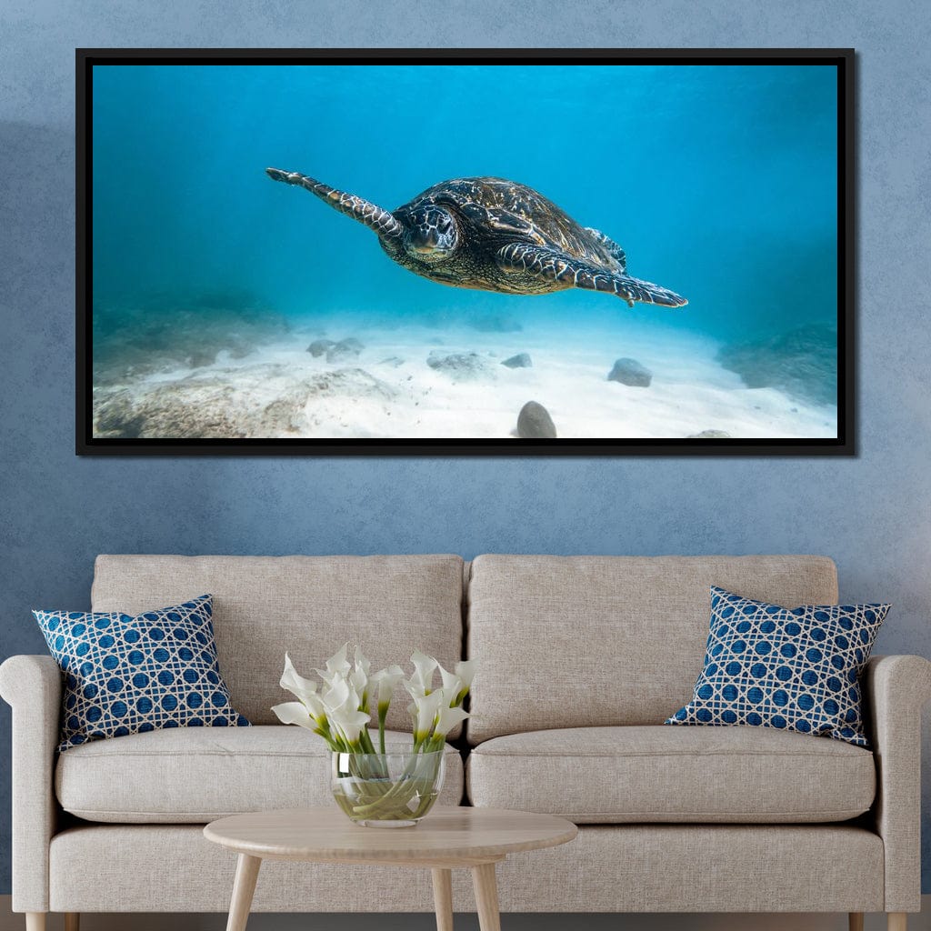 Blue Turtle - Lucas Moore | NicheCanvas