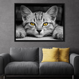 Black & White Cat with Yellow Eyes - NicheCanvas