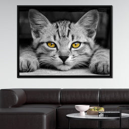 Black & White Cat with Yellow Eyes - NicheCanvas
