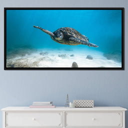Blue Turtle - Lucas Moore - NicheCanvas