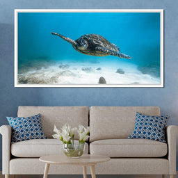 Blue Turtle - Lucas Moore - NicheCanvas
