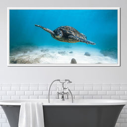 Blue Turtle - Lucas Moore - NicheCanvas