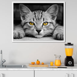 Black & White Cat with Yellow Eyes - NicheCanvas