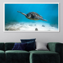 Blue Turtle - Lucas Moore - NicheCanvas