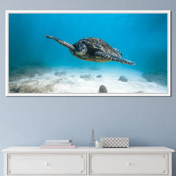 Blue Turtle - Lucas Moore - NicheCanvas