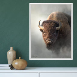 Bison 1 - Patsy Weingart - NicheCanvas