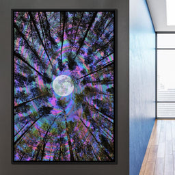 Moon Swirl - Cajuca - NicheCanvas