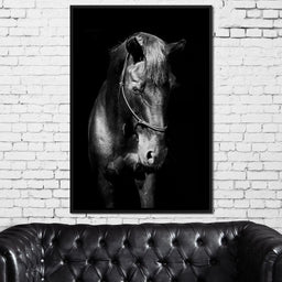 Black & White Horse Head - NicheCanvas