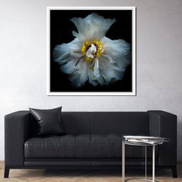 Backyard Flowers Series 4 - Brian Carson - NicheCanvas